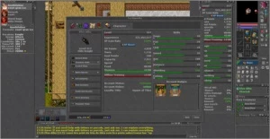 Vendo Knight 317 ( EK 317 ) - Tibia
