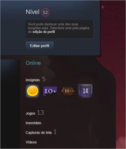 Steam level 12 | CS:GO Supremo |PUBG e GTA V Sem registro|