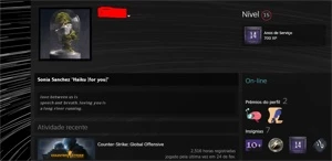 CONTA STEAM 14 ANOS DE SERVIÇO, HORAS JOGADAS CSGO, DOTA ETC