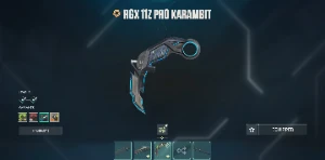 Conta de Valorant FULL ACESSO.