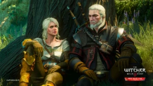 The Witcher 3 Wild Hunt - Conta Steam
