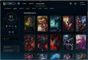 Conta Lol prata 2, 81 skins, diversos ícones e 100 campeões - League of Legends