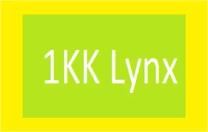 Vendo 1kk Lynx (1.000.000 Moedas) - Perfect World PW