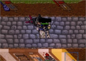 Elder Druid 316 com Elementalist Full - Tibia