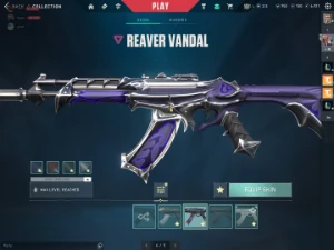 Conta Valorant Com Várias Skins