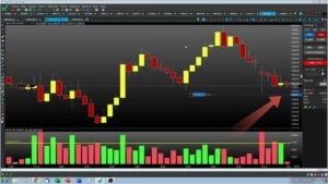 Cursos Day Trade Bolsa de Valores - Cursos e Treinamentos