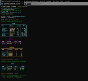 Ragnarok Latam & Bro Pin Recover - Ragnarok Online