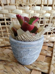 Vaso Terracota Envelhecido - Folhas - Artesanato e Personalizados