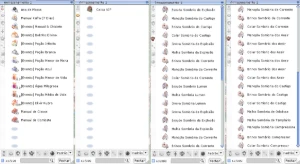 Cavaleiro runico - RK LV 160 - Ragnarok Online