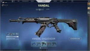 Conta Valorant lvl 107