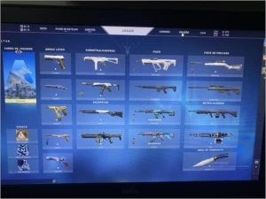 Conta valorant ouro 2 várias skins