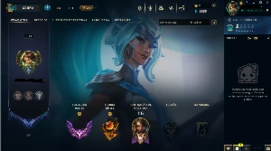 Full acesso  Conta mestre LoL top 3 Nidalee br - League of Legends