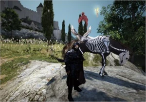 Conta, barraca, pet  barco t4, cavalo corcel t8. - Black Desert