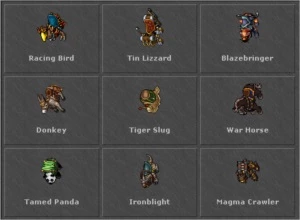 Royal Paladin lvl 550 25% Loyalt Prey 3 liberada - Tibia