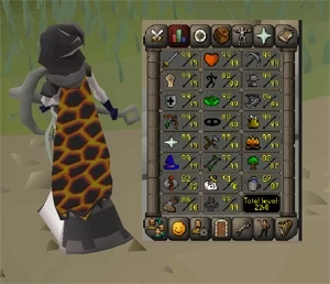 AS CONTAS MAIS SEGURAS ESTÃO NA CASH DO FRAY - Runescape RS