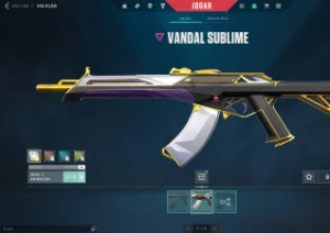 Conta valorant com várias skins