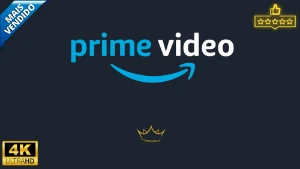 PRIME VIDEO 30 DIAS + ENTREGA IMEDIATA - Assinaturas e Premium