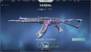 Valorant Account, Skins LINDISSIMAS e SUPER raras