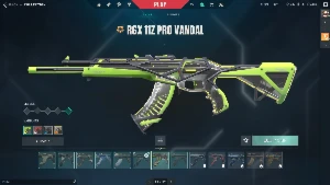 Conta valorant com várias skins
