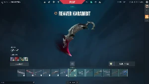 Conta valorant com várias skins