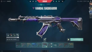 Conta Valorant com Skins de Champions