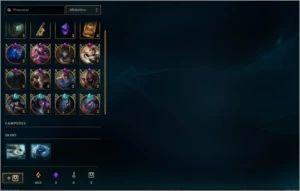 Conta LOL Main ADC - League of Legends