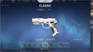CONTA D1 VALORANT c/ SKIN