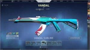 CONTA D1 VALORANT c/ SKIN