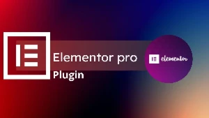 Plugin Elementor Pro - Atualizado 2025 Premium - Outros