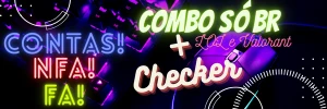 Checker + Combo De Contas 100% Br Nfa E Fa - Valorant