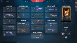 Ancifogo;Ion;Radiant;Saqueadora;Vaga-lume RGX! Full acesso! - Valorant