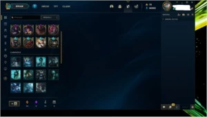 League of Legends-Conta Antiga nv125, 118 Champs, 36 Skins + LOL