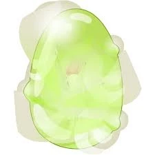 Dofus Cenouwa ( Spiritia ) + Brinde