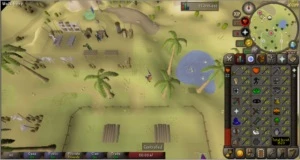 Conta Runescape OS Max combat e bons níveis RS
