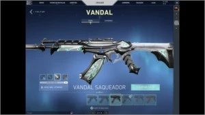 Vendo conta VALORANT COM VARIAS SKINS