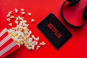 Netflix 30 Dias + suporte  +Renovação - Assinaturas e Premium