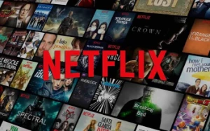 Netflix 30 Dias + suporte  +Renovação - Assinaturas e Premium