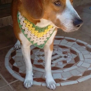 Bandana Pet de Crochê Artesanal