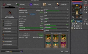 Tibia char em celebra com varios outros makers na acc