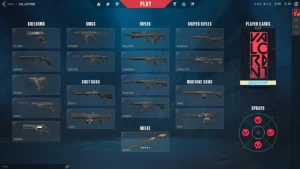 Conta FA Valorant com faca lvl 16
