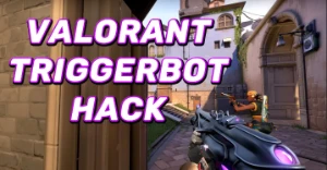 HACK Valorant - TRIGGER vitalicio - Outros