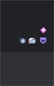 Conta discord apoiador inicial e nitro anual - Redes Sociais